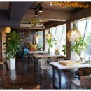 미르빌힐링타운 이미지