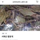주식회사 킹크랩대게전문점 | [서울] 노량진 수산시장 대게, 꽃게, 킹크랩 있는 순천만상회 포장 후기
