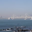 소나무여울공원 이미지