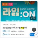 레고코딩(저학년) | 초등 코딩체험 수업 &lt;서울로봇인공지능과학관_라임위크앤드&gt; 레고로 코딩 후기