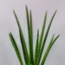 세종 한솔동 우체국 이미지