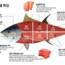 참치루 이미지