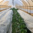 기철농장 이미지