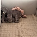 호수세탁 | 출산준비 아기손수건, 아기옷, 아기용품 세탁 방법 및 보관 후기