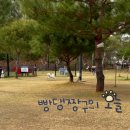 도도한 펫츠 네이버블로그