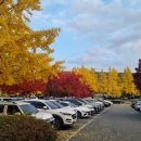 29170-2-A-09 | [2025/11/09] 25년 김동률 콘서트 '산책' 공연 후기! @올림픽공원 KSPO DOME A구역 37열 | 셋리스트 포함