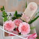 제이라온FLOWER 네이버블로그
