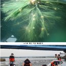 동남자원 이미지