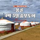 중부기획 | 몽골 4박5일 중부투어 후기 | 어기호수 청헤르온천 미니사막 테를지까지
