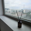 백화점 명품 디퓨저향 추천 올리 내추럴 라벨 디퓨저 로즈데벙향