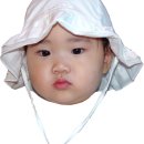 파레트 Daum카페