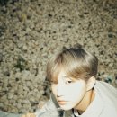 연세미모사랑의원 이미지