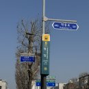 수진약품 | 강남 미용실 추천 | 오랜만에 다시 방문한 청담 유명 헤어샵 '메이븐헤어'에서 받은 다운펌 후기