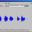 [관련기술학습]2010/10/25 데이터를 wav 파일로 저장 및 재생 유진명 이미지