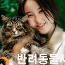 2002사진관