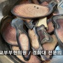 감초부부한의원 네이버블로그