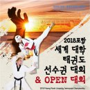 사랑하는 태권도 이미지