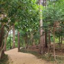 탐진한우 | 강진, 장흥 늦가을 힐링여행 (강진, 장흥, 늦가을)