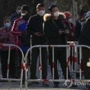 위드약품 이미지