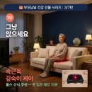 홍삼PC | 부모님 속근육 관리 — 옷 입고 15분 앉기만 하면 되는 음파방석 후기