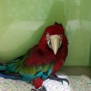 닥터 홍 동물병원 이미지