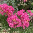 안동시민운동장 이미지