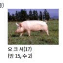 김대철농장 프레시안