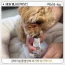 피키펫 | 강아지 눈물자국 영양제 눈물자국 완화 영양제 스틱형 눈물영양제 피키펫아이