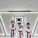 현 태권도장 이미지