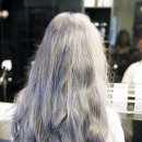 애쉬그레이 카카오 검색결과