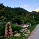 곰싸리길 네이버블로그