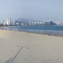 광안하수펌프장 Daum카페