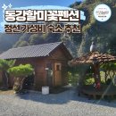 동강할미꽃펜션 | 강원도 정선 여행 가성비 숙소 펜션 추천 동강할미꽃펜션