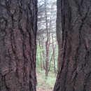 대전비래초등학교 이미지