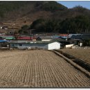 대흥초등학교 이미지