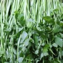 하루해 가평농장 이미지