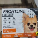 사랑플러스 동물약국 이미지