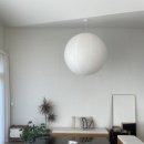 단비고집 이미지