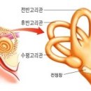 소리청한의원 네이버블로그