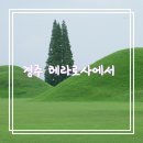 로사의 집 네이버블로그