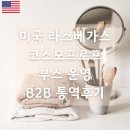 B2B헤어 - 구미시 신당인덕1로 131 | 미국 라스베가스 코스모프로프 2025 부스 운영 B2B 통역후기