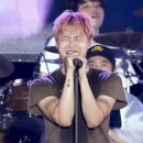 댕댕이 머리하는 날 이미지