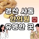 대동카클리닉 | 경산 사동 한의원 추천 TOP5 양심 한의원 유명한 곳