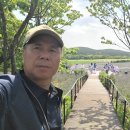 노을코지