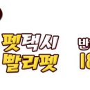 빨리펫 이미지