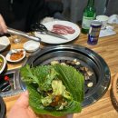 돈큐우 | [신논현] 야끼니꾸 맛집 돈큐우 솔직후기 /고기 질 좋은 강남 고기집