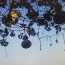 박달농원 이미지