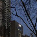 주말 일산여행(서울근교여행,킨텍스 바이 케이트리, 진1926 킨텍스점, 칭찐)