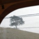 큰언덕목장 이미지