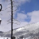 Dog Bread(도그브래드) 이미지